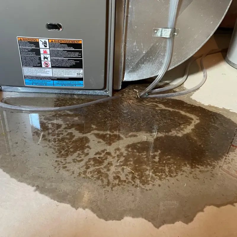 Appliance Leak Cleanup in Cardington, OH