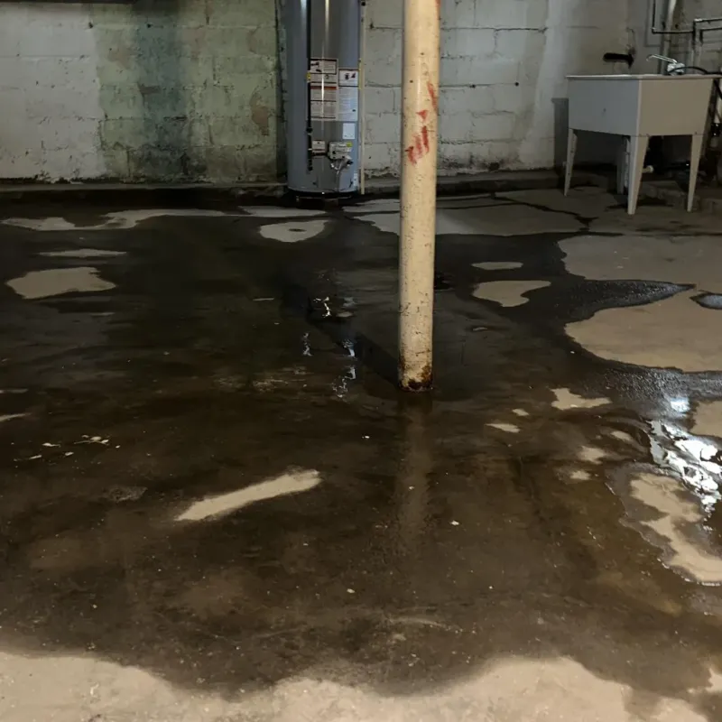 Emergency Water Extraction And Removal in Cardington, OH